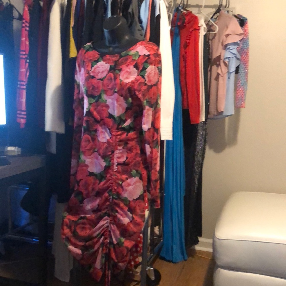 🎅🎄🧑‍🎄NWT Large floral dress